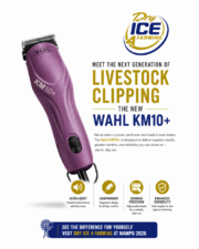 Wahl KM10+ Clipper